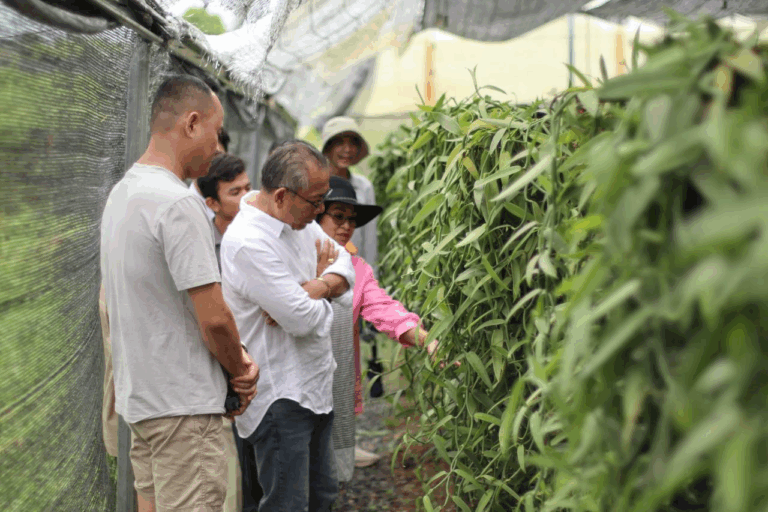 Field Visit to Fair Farms Co. Ltd and La Plantation Co. Ltd