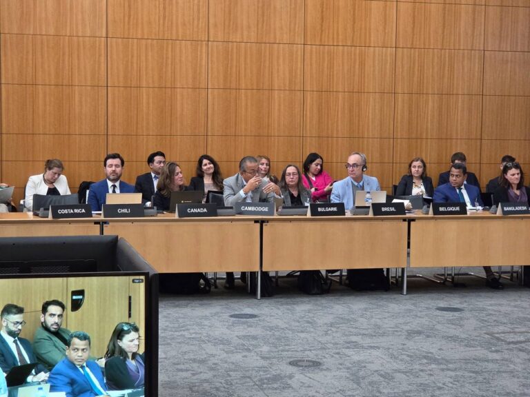 Plenary 1: Exploring commonalities and divergences across due diligence legislation, OECD